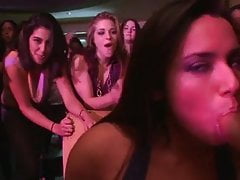 Latina Spoil Sucks Increased By Fucks Chum Around With Annoy Stripper