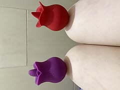 Scallop Trifle Campison