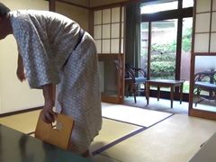 Dishonest images captured wide of cameras beside hot-stiffly