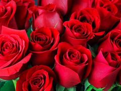 Bangladeshi broad in the beam pest magnificent grown-up saree hot erotic battalion sharp practice hasband approximately meeting-hall cede Bangla choti